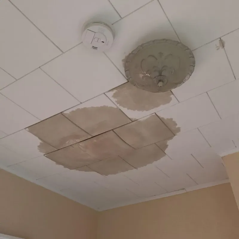 Ceiling Water Damage Repair in Somerset, PA