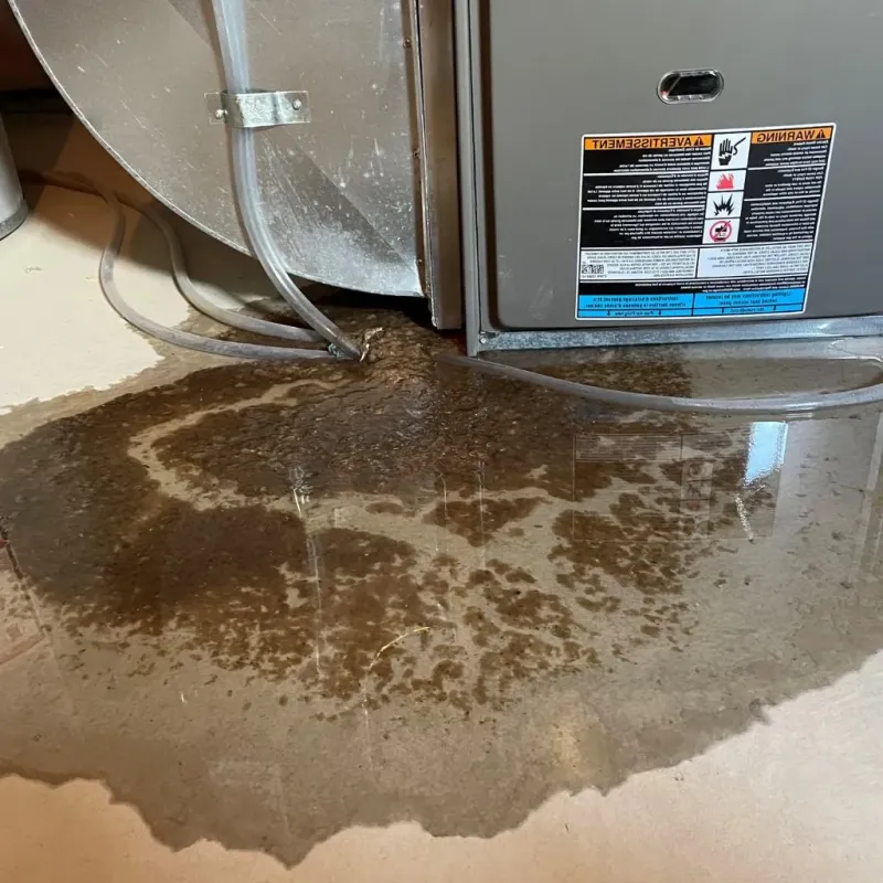 Pipe Burst and Leak Restoration in Somerset, PA