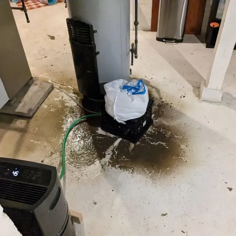 Sewage Backup Cleanup Service in Somerset, PA